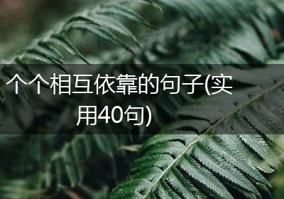 个个相互依靠的句子(实用40句)