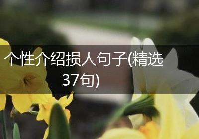 个性介绍损人句子(精选37句)