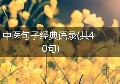 中医句子经典语录(共40句)