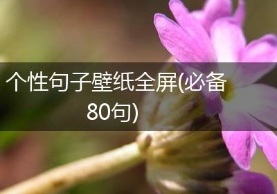 个性句子壁纸全屏(必备80句)