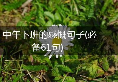 中午下班的感慨句子(必备61句)