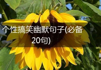 个性搞笑幽默句子(必备20句)