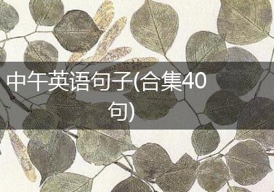 中午英语句子(合集40句)