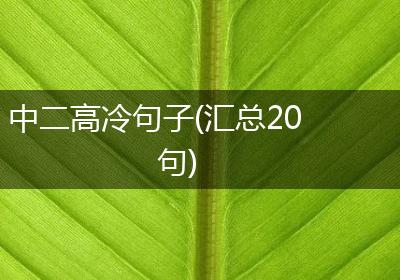 中二高冷句子(汇总20句)