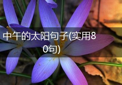 中午的太阳句子(实用80句)