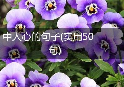 中人心的句子(实用50句)