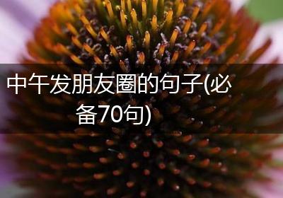 中午发朋友圈的句子(必备70句)
