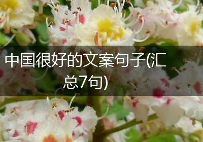 中国很好的文案句子(汇总7句)