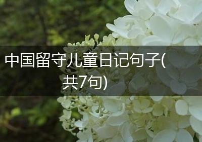 中国留守儿童日记句子(共7句)