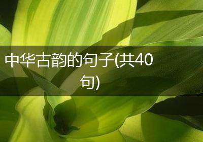 中华古韵的句子(共40句)