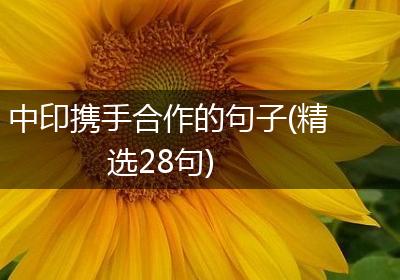 中印携手合作的句子(精选28句)