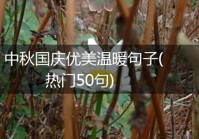 中秋国庆优美温暖句子(热门50句)