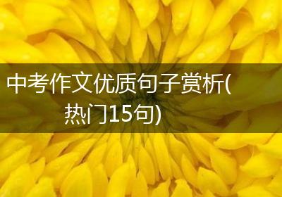 中考作文优质句子赏析(热门15句)