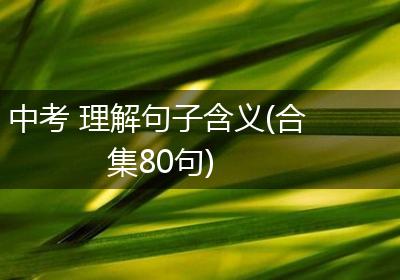 中考 理解句子含义(合集80句)