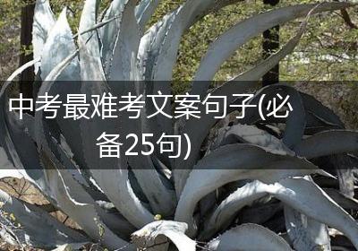 中考最难考文案句子(必备25句)