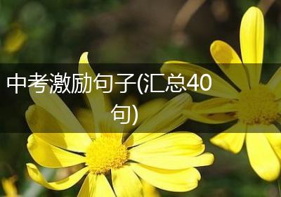 中考激励句子(汇总40句)