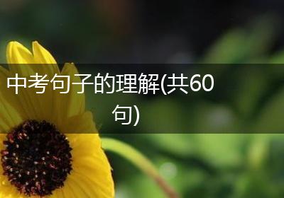 中考句子的理解(共60句)
