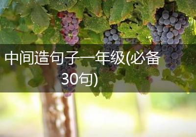 中间造句子一年级(必备30句)