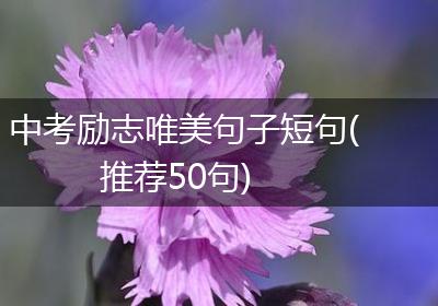 中考励志唯美句子短句(推荐50句)