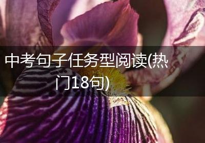 中考句子任务型阅读(热门18句)