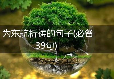 为东航祈祷的句子(必备39句)