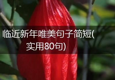 临近新年唯美句子简短(实用80句)