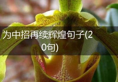 为中招再续辉煌句子(20句)