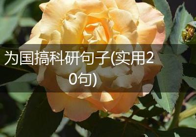 为国搞科研句子(实用20句)