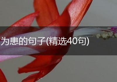 为患的句子(精选40句)