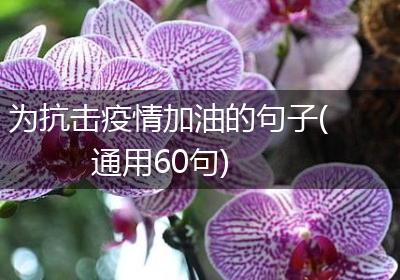 为抗击疫情加油的句子(通用60句)