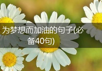 为梦想而加油的句子(必备40句)