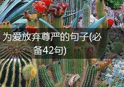 为爱放弃尊严的句子(必备42句)