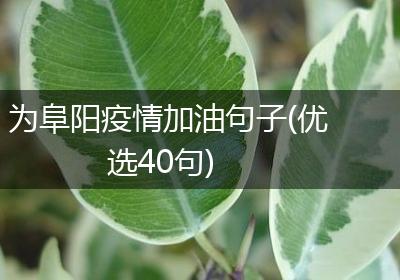 为阜阳疫情加油句子(优选40句)