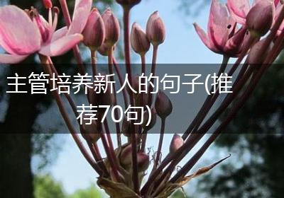 主管培养新人的句子(推荐70句)