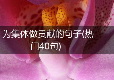 为集体做贡献的句子(热门40句)