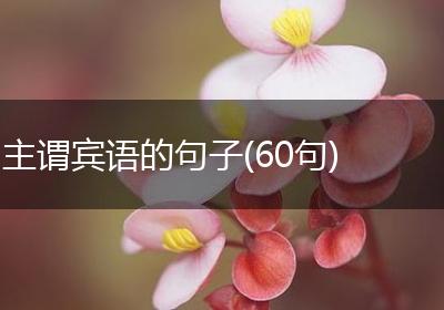 主谓宾语的句子(60句)