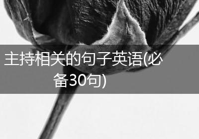 主持相关的句子英语(必备30句)