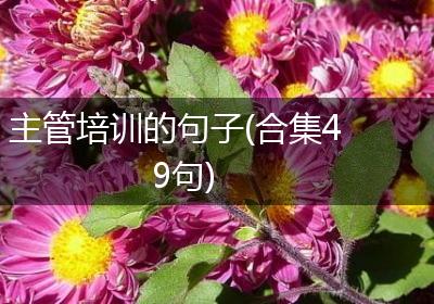 主管培训的句子(合集49句)
