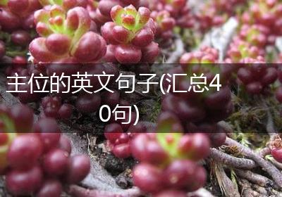 主位的英文句子(汇总40句)