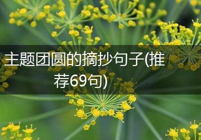 主题团圆的摘抄句子(推荐69句)
