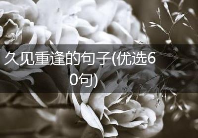 久见重逢的句子(优选60句)