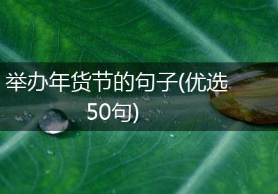举办年货节的句子(优选50句)