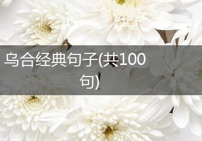 乌合经典句子(共100句)