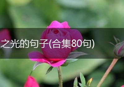 之光的句子(合集80句)