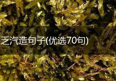 乏汽造句子(优选70句)