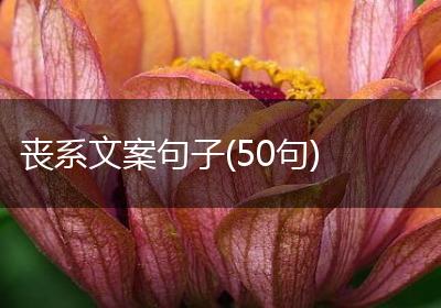 丧系文案句子(50句)