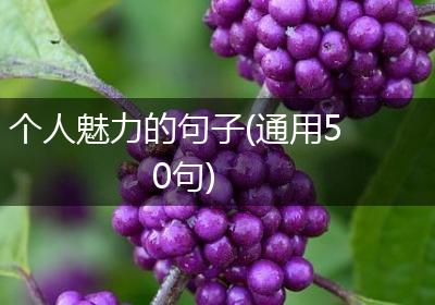 个人魅力的句子(通用50句)