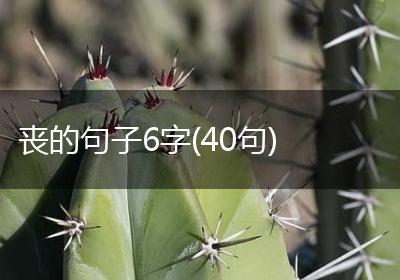 丧的句子6字(40句)