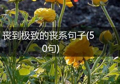 丧到极致的丧系句子(50句)