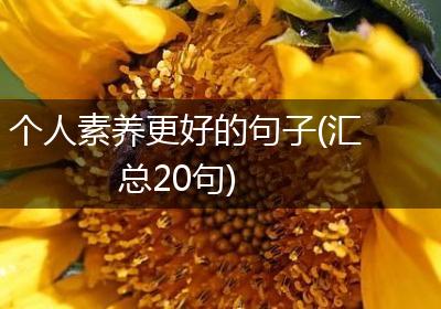 个人素养更好的句子(汇总20句)